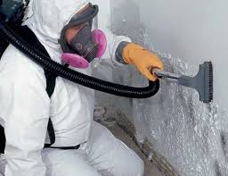 Rio Vista, TX Mold Removal Company